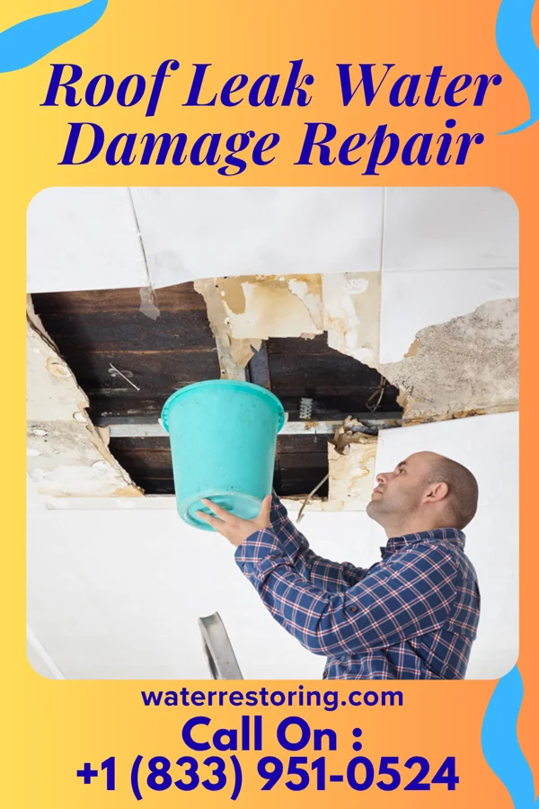 Roof Leak Water Damage Repair in Evant, TX